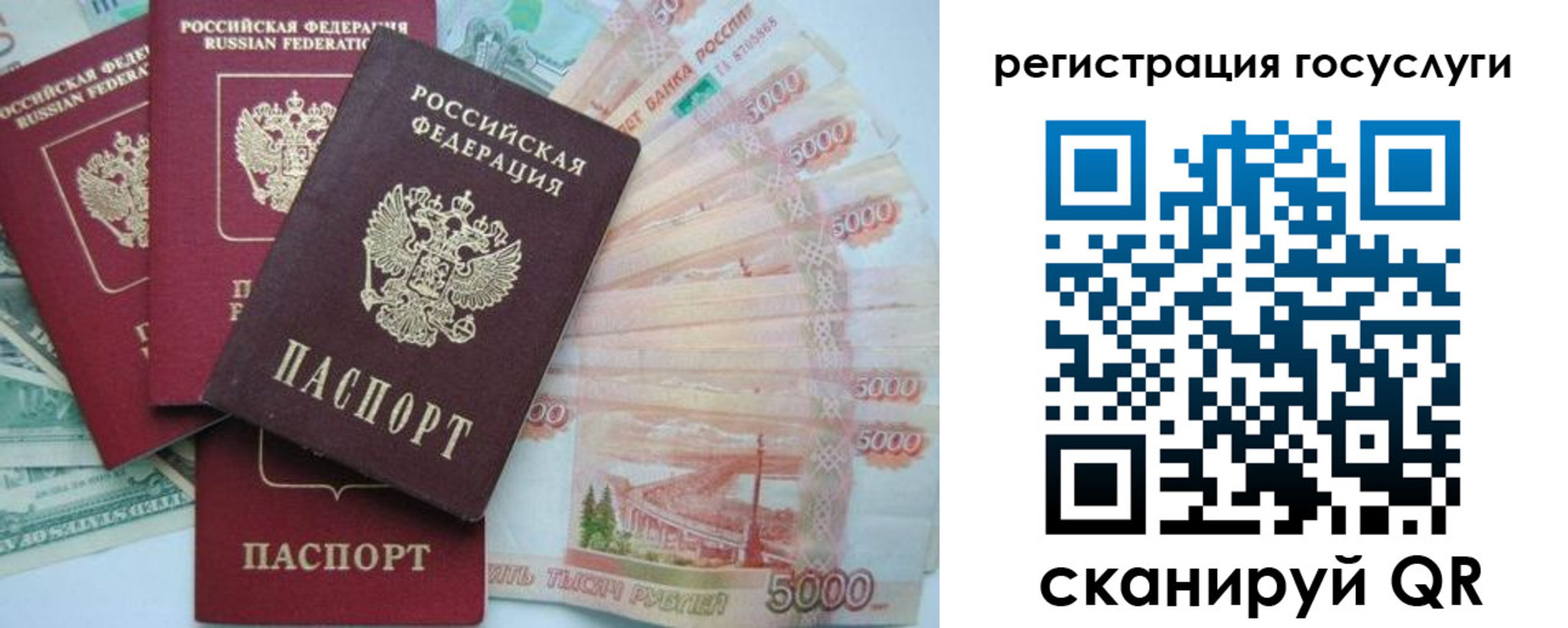 прописка иностранных граждан в Петропавловске-Камчатском